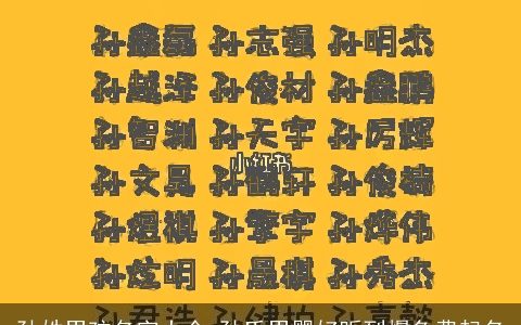 孙姓男孩名字大全 孙氏男婴好听到爆免费起名