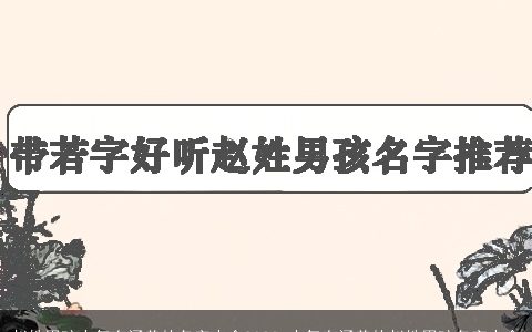 赵姓男孩大气有涵养的名字大全2023 大气有涵养的赵姓男孩名字大全