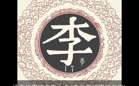 姓玉的男孩名字大全(表示玉的男孩名字)