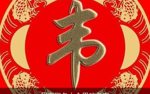 程字取名大全男孩名字