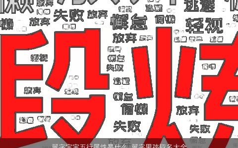 翼字宝宝五行属性是什么 翼字男孩取名大全寓意 2024帅气寓意的宝宝男孩名字最新