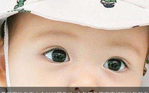 最新男孩名字大全2023属兔的 今年属兔男宝宝好听帅气起名