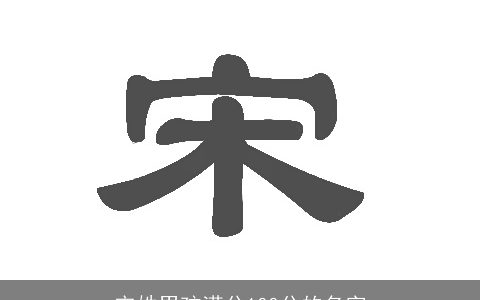 宋姓男孩满分100分的名字