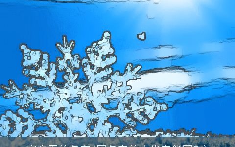 寓意雪的名字(同名字的人代表能同起)