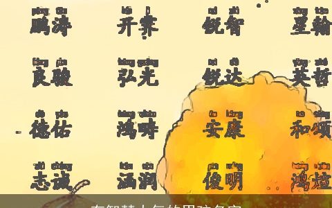 有智慧大气的男孩名字