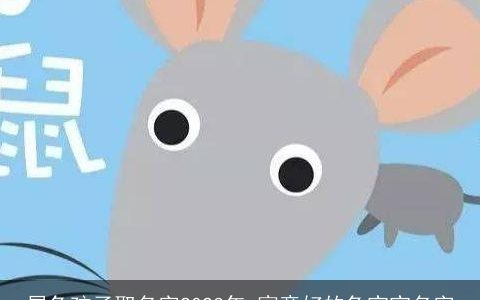 属龙孩子取名字2024年 寓意好的龙宝宝名字