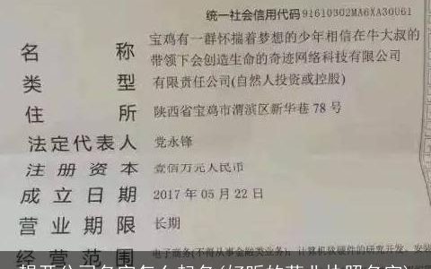 想开公司名字怎么起名(好听的营业执照名字)