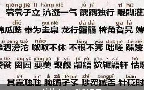 给姓贾的男孩起名字