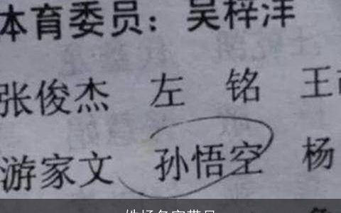 姓杨名字带吴