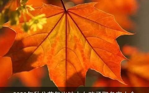 2024年秋分节气出缺水女孩子取名字大全