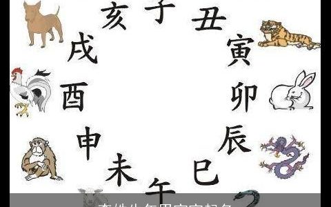 李姓牛年男宝宝起名