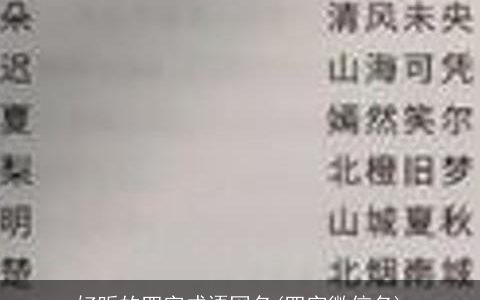 好听的四字成语网名(四字微信名)