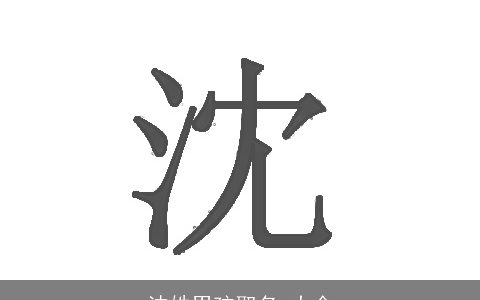 沈姓男孩取名 大全