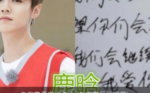 名字带晨字的名人(名字带辰的明星)