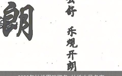 2024年林姓男孩取名 林姓古风名字