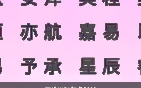 高姓男孩起名2024