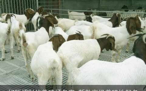 好听招财的养殖场名字 新款高级养殖地起名