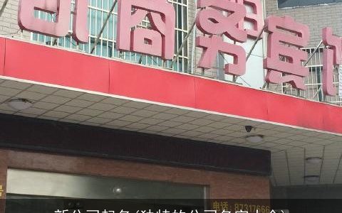 新公司起名(独特的公司名字大全)