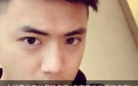 中间带发字的男孩名字(名字带发的男孩名字)