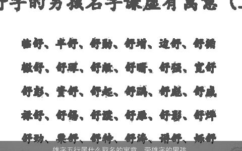 雄字五行属什么取名的寓意  带雄字的男孩名字大全 稀少寓意的带字男孩名字大全最新