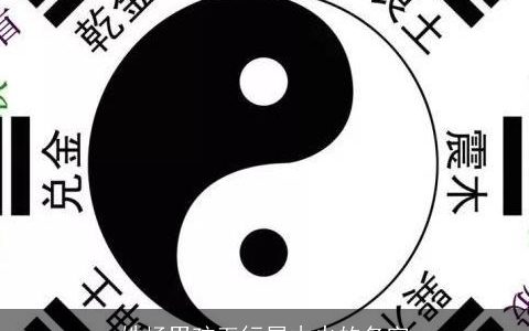 姓杨男孩五行属木火的名字