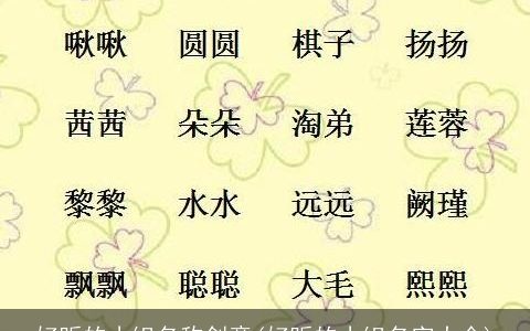 好听的小组名称创意(好听的小组名字大全)