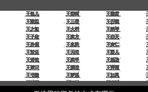 王姓男孩取名的方式有哪些