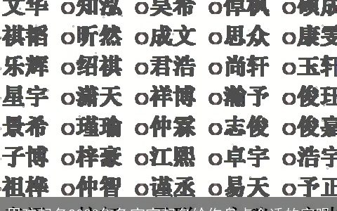 男孩起名2023年兔宝宝起名给你盘点合适的字眼