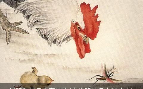 属鸡明星名人有哪些(生肖鸡的名人和伟人)