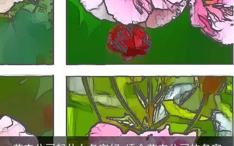 花卉公司起什么名字好 适合花卉公司的名字