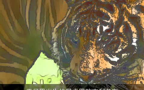 正月里出生的属虎男孩吉利名字