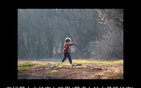 五行属土火的字女孩用(属虎女缺火最旺的字)