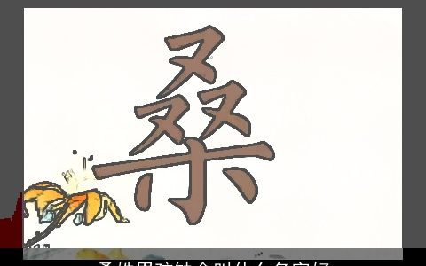 桑姓男孩缺金叫什么名字好