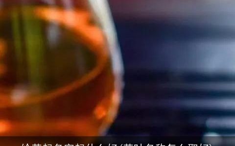 给茶起名字起什么好(茶叶名称怎么取好)