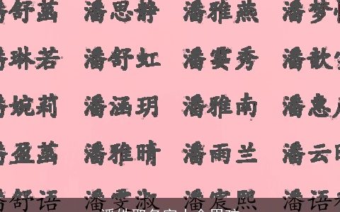 潘姓取名字大全男孩