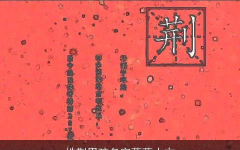 姓荆男孩名字落落大方