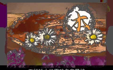 五行缺木的男孩名字属蛇