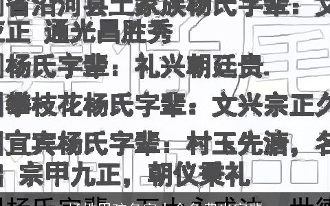 杨姓男孩名字大全免费光字辈