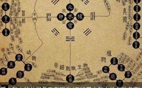 带水和木的公司名字有哪些(五行带木和水的女孩名字)