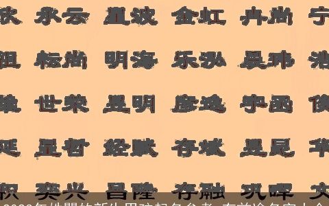 2024年姓瞿的新生男孩起名参考 有前途名字大全