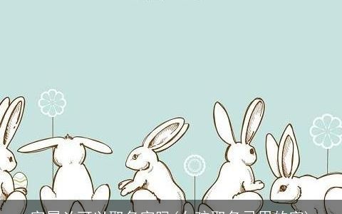 字属凶可以取名字吗(女孩取名忌用的字)