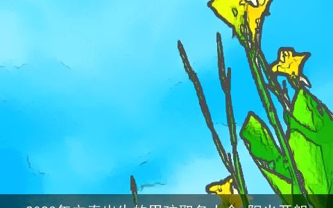 2024年立春出生的男孩取名大全 阳光开朗