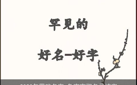 2023年男孩名字 兔宝宝取名忌讳字