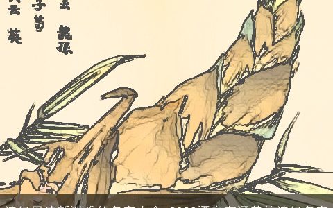 诗经里清新淡雅的名字大全 2023漂亮有涵养的诗经名字