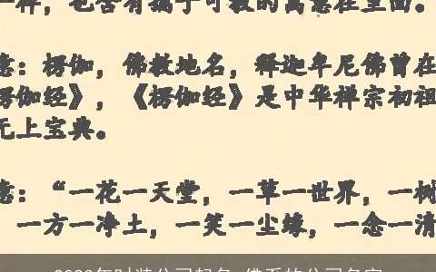 2024年时装公司起名 佛系的公司名字