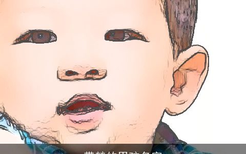 带堃的男孩名字