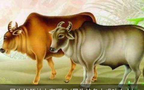 属牛的领袖人有哪些(属牛的名人成功人士)