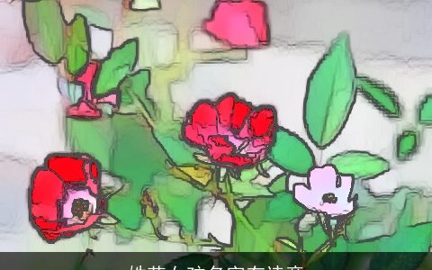 姓花女孩名字有诗意