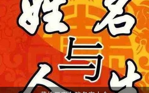 董姓三字女孩名字大全