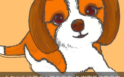 今年出生的属虎人取名用字 兔宝宝最佳宜用字